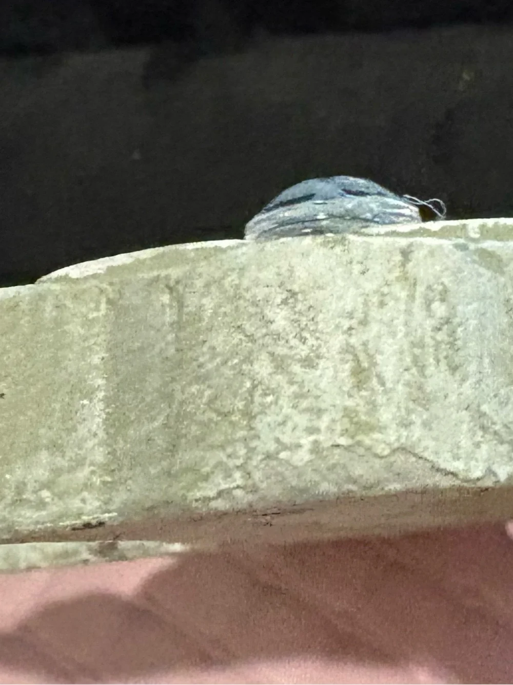 Ornate grey stone-look wall cross